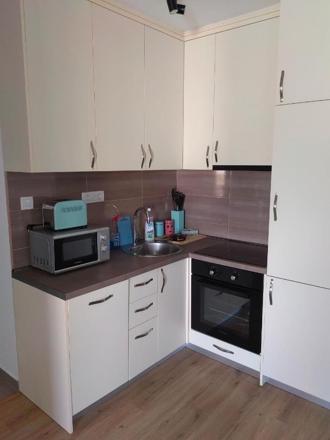 Stan na dan Niksic Apartment Bagian luar foto